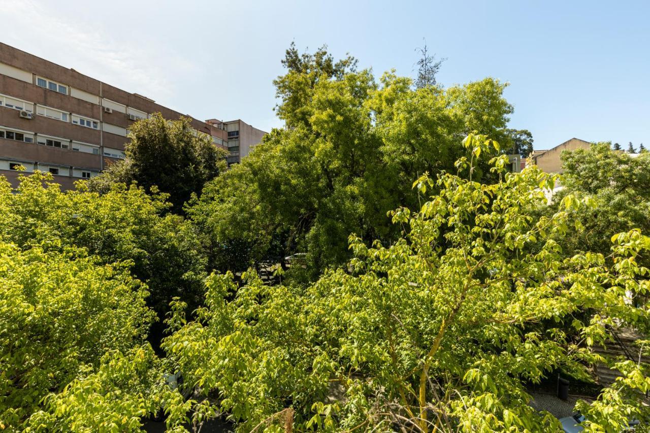 Comfy 3 Bedroom Apartment Campo De Ourique Lisabona Exterior foto